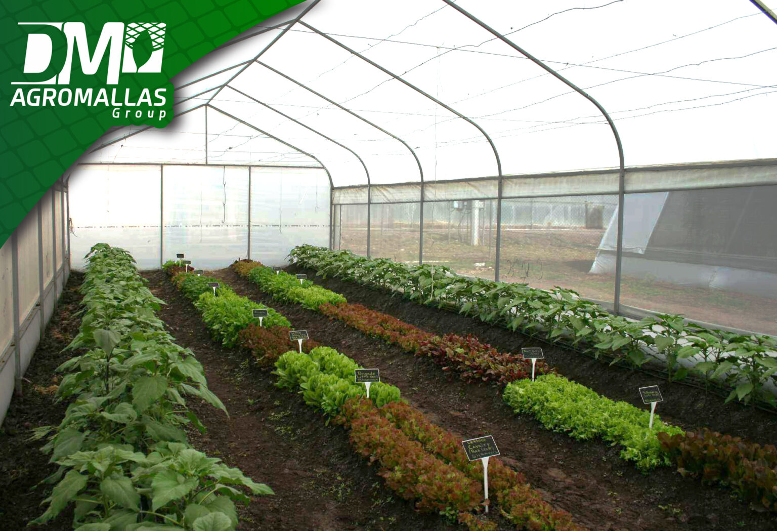 Malla Anti-áfidos para la protección de cultivos en invernaderos.