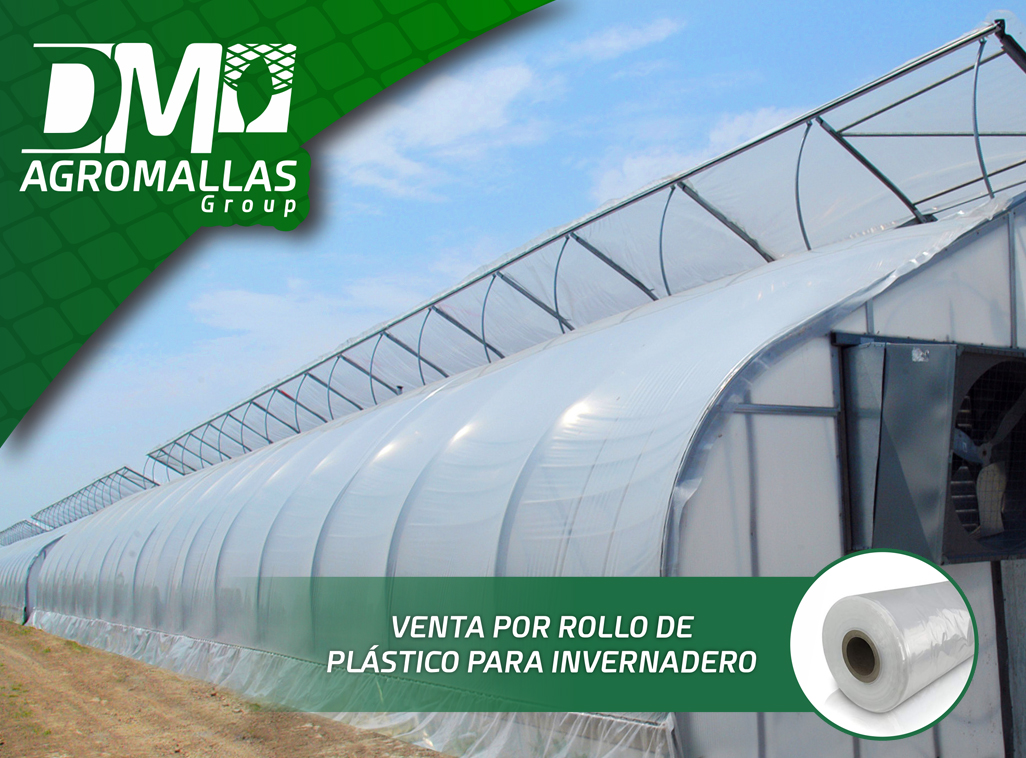 Venta por Rollo de Plástico para Invernadero Calibre 720 ¡Protege tu  cultivo y manténlo en la temperatura ideal! - DM Agromallas