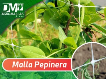 DM_AGROMALLAS_MALLA_PEPINERA_ESPALDERA_TUTORA_HORTALIZAS_TOMATE_MALLA_HORTONOVA_POLIPROPILENO_MALLAPLASTICA_ENTUTORADO_FACIL_DE_INSTALAR_ESPALDERA_AGRICULTURA_PROTEGIDA_INVERNADERO_CAMPO_ABIERTO_HORTALIZAS_CULTIVOS_PROTECCION_DE_CULTIVOS_SOPORTE_SINALOA_SONORA_JALISCO_MICHOACAN_BAJA_CALIFORNIA_NORTE_SUR_NAYARIT_JALISCO_CULIACAN_HORTOMALLAS_DMTECNOLOGIAS_DMAGROMALLAS_DM_AGROMALLAS_DM