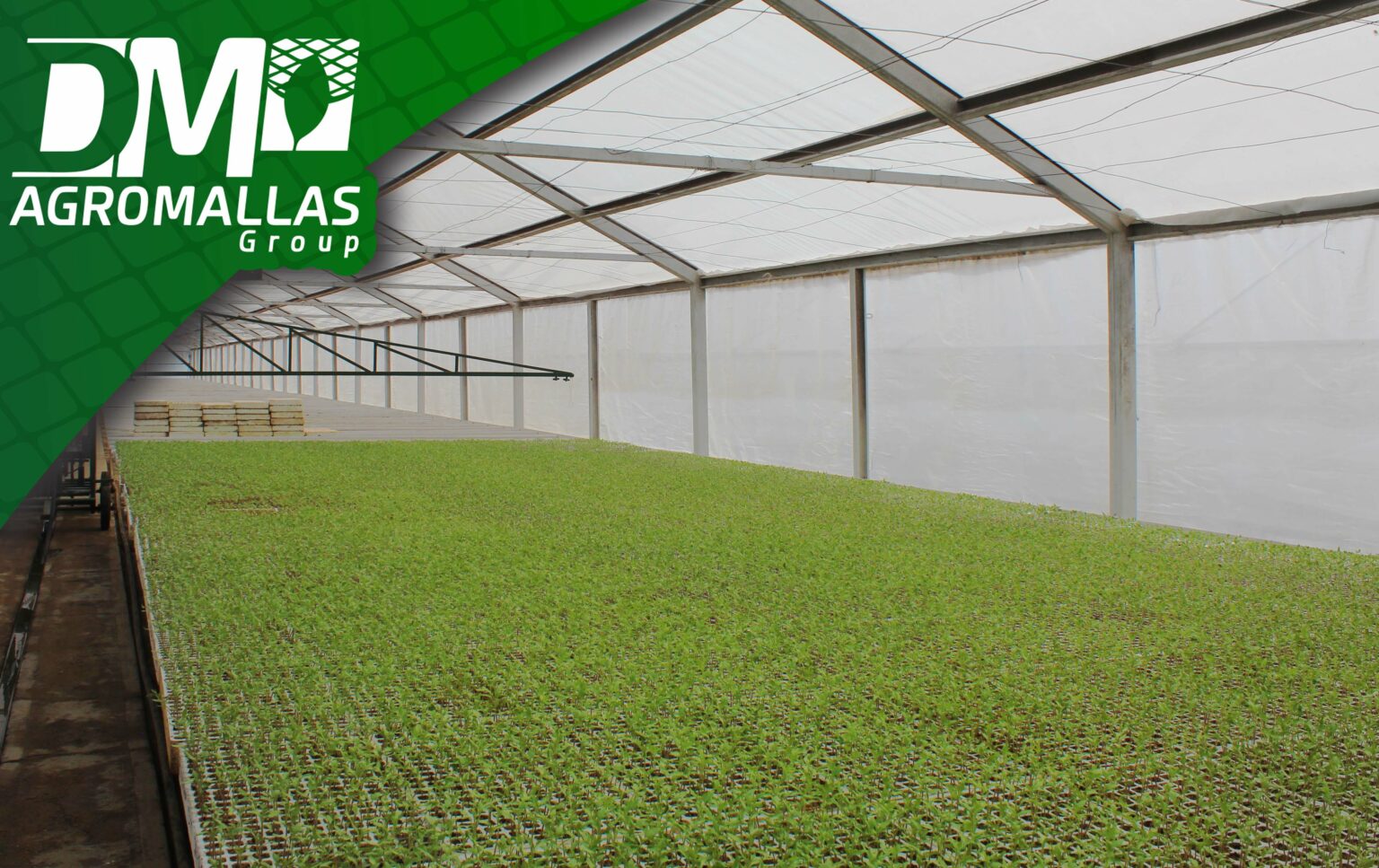 ¡Cubre tu invernadero con Malla Anti-áfidos! Protege tu cultivo de los ...