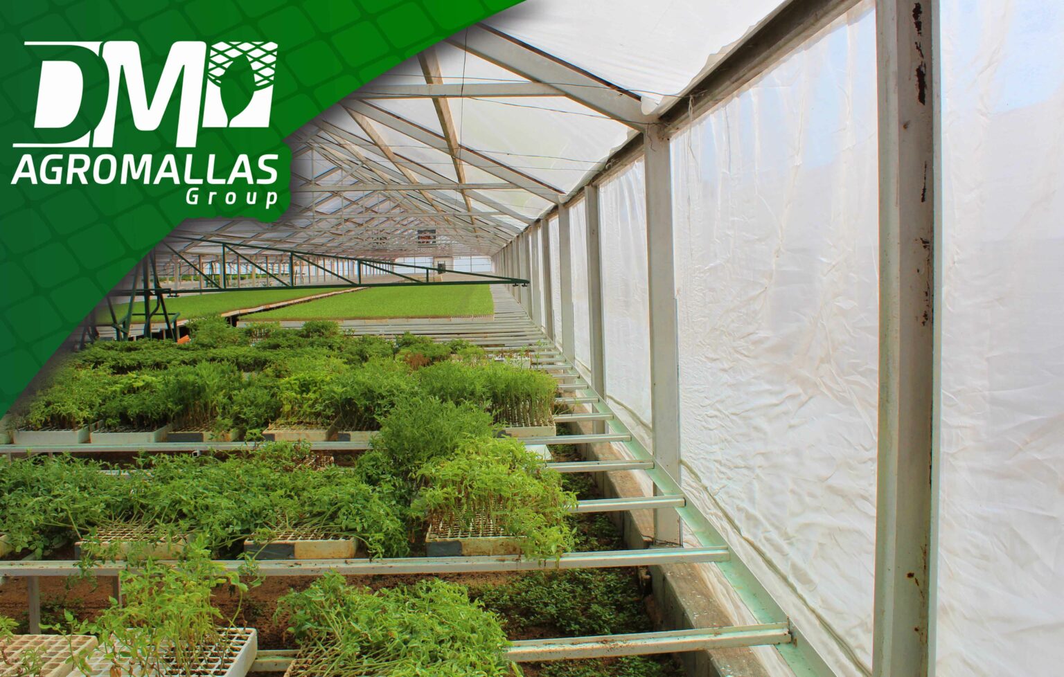 ¡Protege tu cultivo agrícola con la Malla Antiáfidos es esencial para ...