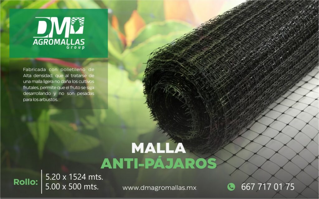 uso-de-malla-antip-jaros-t-cnica-efectiva-para-poner-soluci-n-a